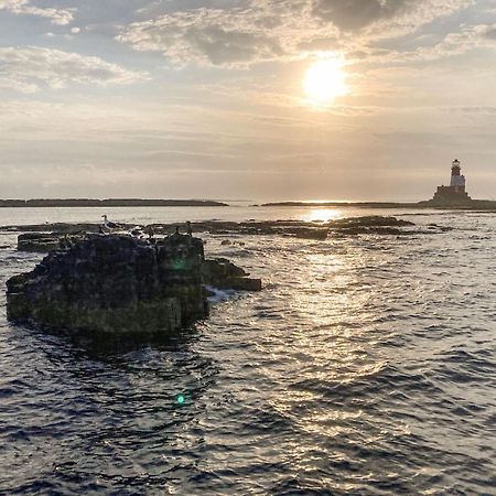 Dipper Cottage Seahouses Exteriör bild