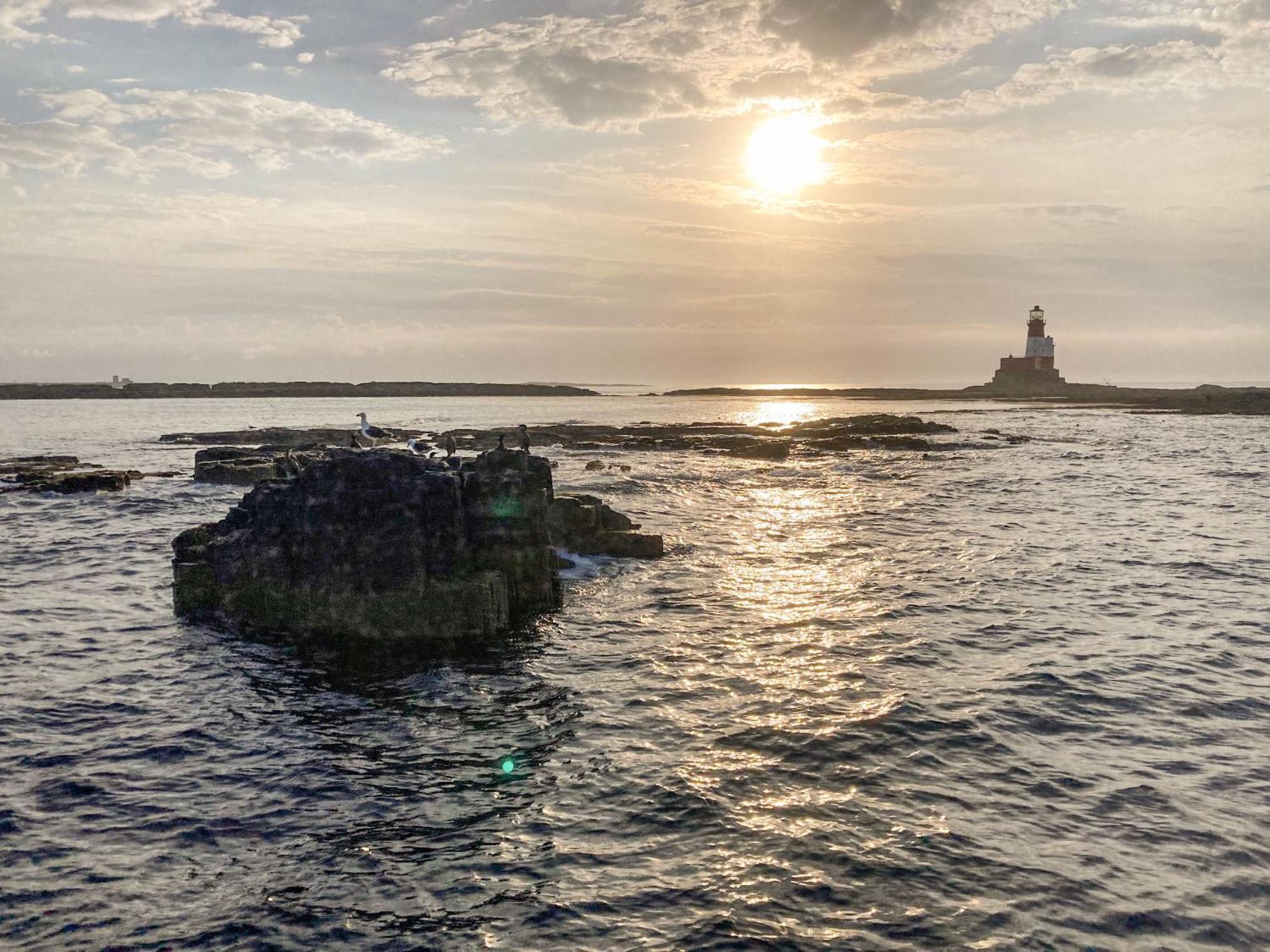 Dipper Cottage Seahouses Exteriör bild