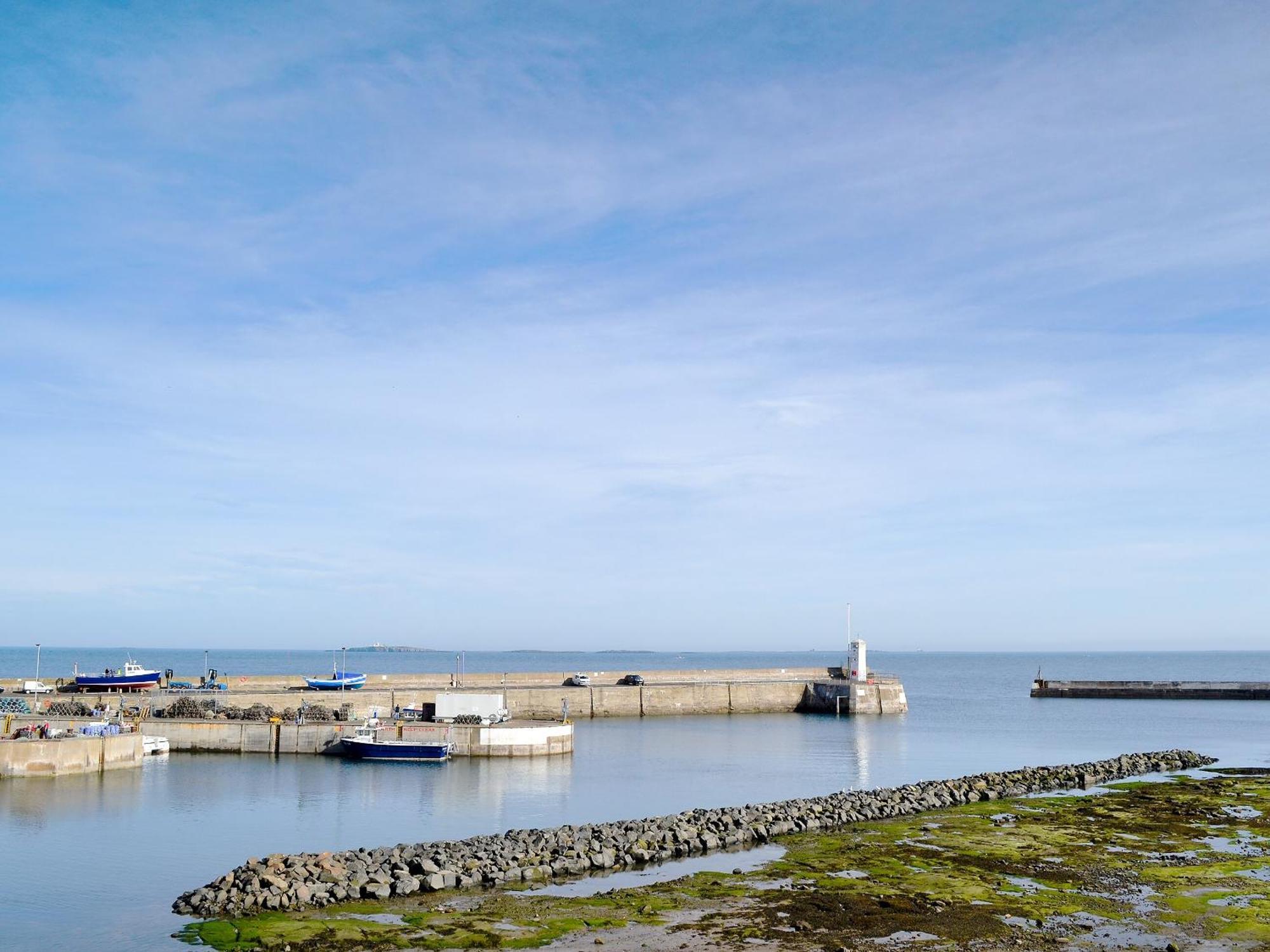 Dipper Cottage Seahouses Exteriör bild